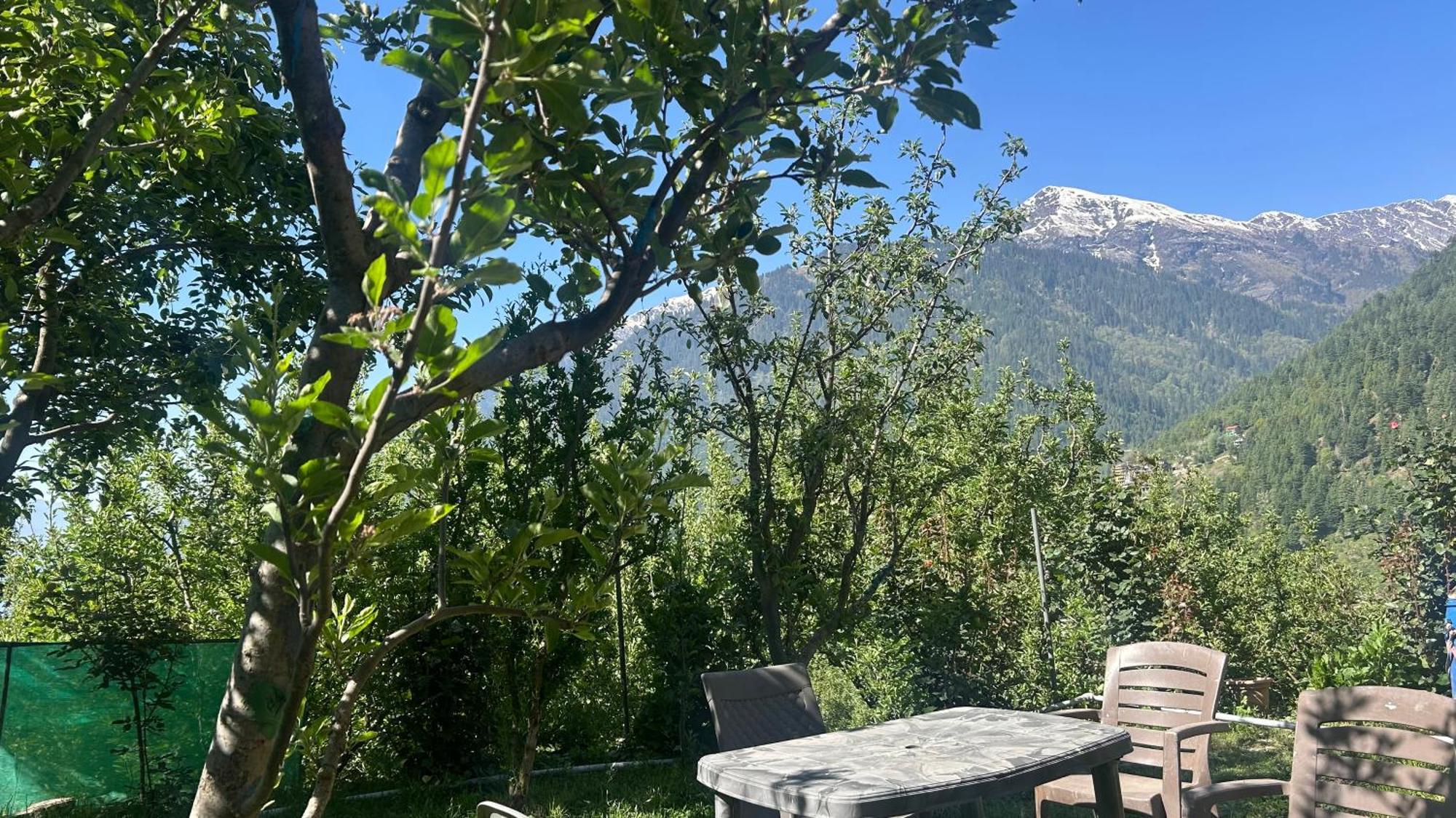 Sunface Homestay Manāli Exteriér fotografie